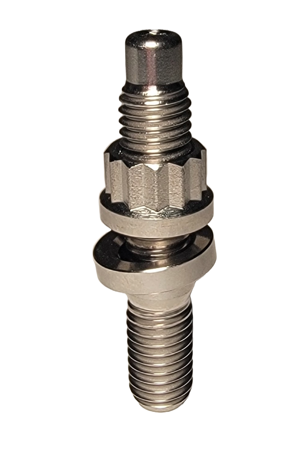 Raw Silver - M8x1.25 Titanium Stud Set