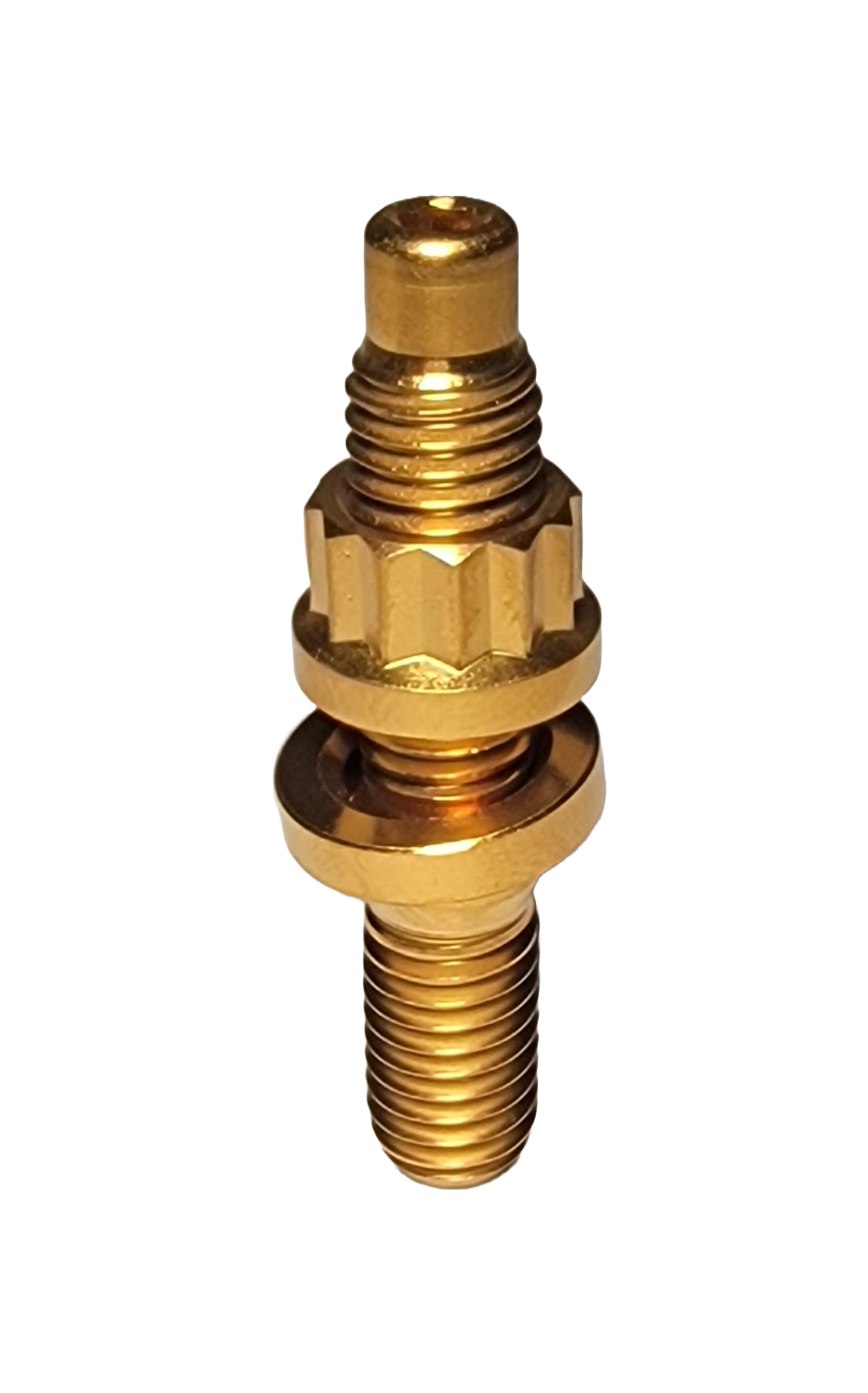 Gold - M8x1.25 Titanium Stud Set
